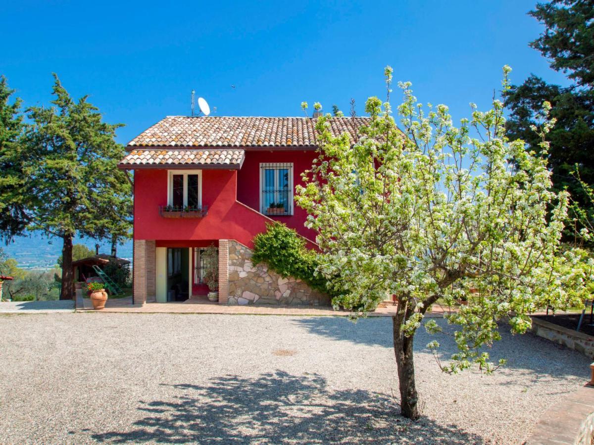 Holiday Home La Letizia By Interhome Collemancio Zewnętrze zdjęcie
